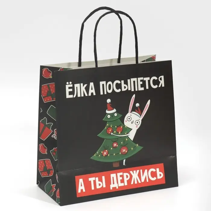 Пакет подарочный новогодний &laquo;А ты держись&raquo;, 22 х 22 х 11 см