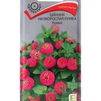 Семена цветов Цинния низкорослая Румба Розовая, 0,1гр