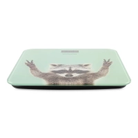 Весы напольные H-BS03589