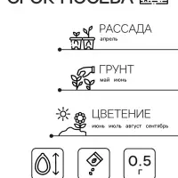 Семена  цветов Цинния Шаровидная, смесь окрасок, О, 0,5 г