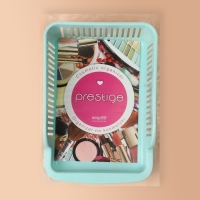 Органайзер для хранения косметических принадлежностей &laquo;Prestige&raquo;, 2 секции, 23 &times; 16,1 см, цвет мятный