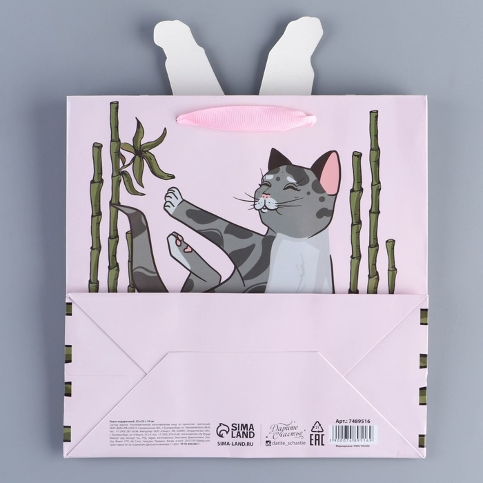 Пакет подарочный, упаковка, &laquo;Йога&raquo;, 22 х 22 х 10 см