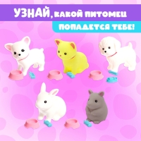 Игрушка-сюрприз &laquo;Любимый питомец&raquo; с аксессуарами, МИКС