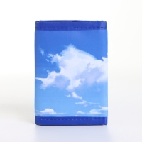 Кошелёк детский на липучке &laquo;Выбражулька&raquo;, цвет голубой