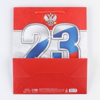 Пакет подарочный ламинированный вертикальный, упаковка, &laquo;23 февраля!&raquo;, ML 23 х 27 х 11,5 см