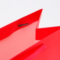 Пакет ламинированный &laquo;Фуксия&raquo;, ML 23 &times; 27 &times; 11.5 см