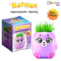 Набор для опытов &laquo;Котики. Выращиваем травку&raquo;, фиолетовый горшочек