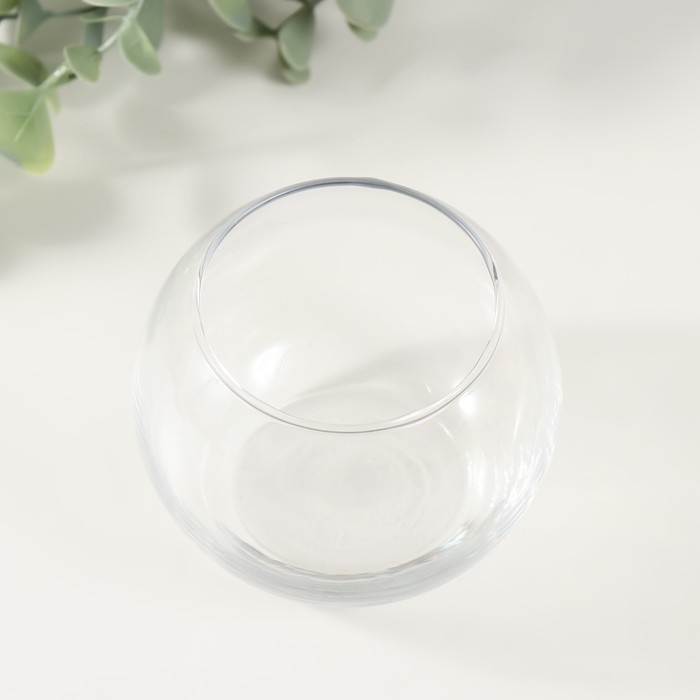 Набор для выращивания растений "Вырасти травку" шар прозрачный