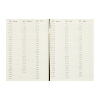 Еженедельник датированный 2025 года, A4, 64 листа, deVENTE.Vertical, твёрдая обложка из искусственной кожи с поролоном, ляссе, кремовый блок 70 г/м2, чёрный