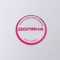 Поднос прямоугольный Доляна &laquo;Плетение&raquo;, 20,5&times;15&times;2 см, цвет МИКС