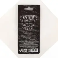 Ароматизатор в машину &laquo;23 Февраля&raquo;, аромат черный лед