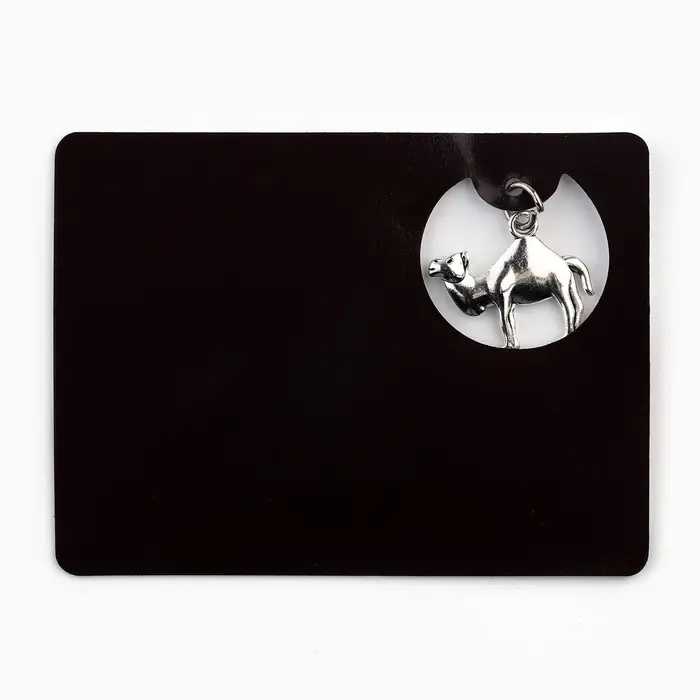 Магнит &laquo;Челябинск&raquo;, 6&times;8 см