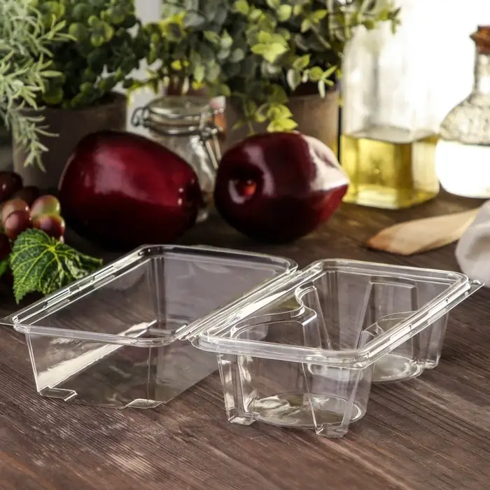 Контейнер одноразовый с неразъёмной крышкой ПР-ПК62С2, 2 секции, пластик, 18.8&times;13.8 см, прозрачный