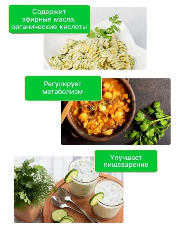 Семена петрушка листовая &laquo;Богатырь&raquo;, 2 г