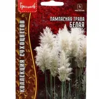 Семена Пампасная трава Белая (Кортадерия) 0,01г. 12.29 г.