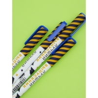 Набор пластиковых ручек "Лучший выпускник школы", синяя паста 0.7 мм, 4 шт