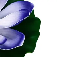 Садовый светильник для водоемов 28 х 28 х 9 см на солнечной бат-е "Лотос" фиол-ый N010