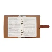 Органайзер на кольцах, C6, с хлястиком, 80л, линия, к/зам, Коричневый