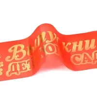 Лента на выпускной &laquo;Выпускник детского сада&raquo;, шёлк красный фольга, микс