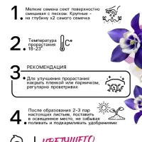 Семена Аквилегия Радуга 0.1г*