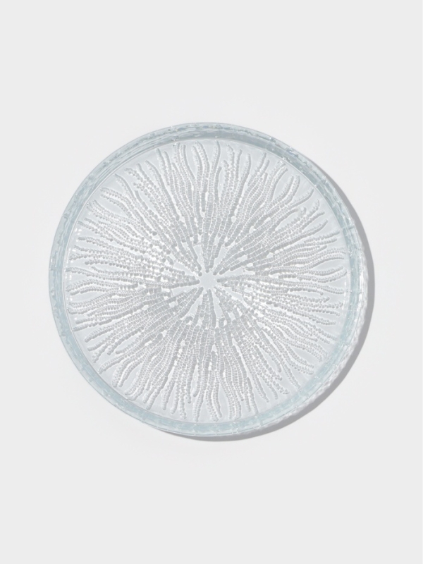 Тарелка обеденная "Radiant" 21 см, цвет прозрачный