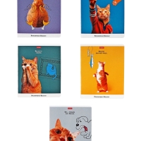 Тетрадь 48л кл на скобе "Приключения Василия", скругл углы, обл мел бум, 45 МИКС