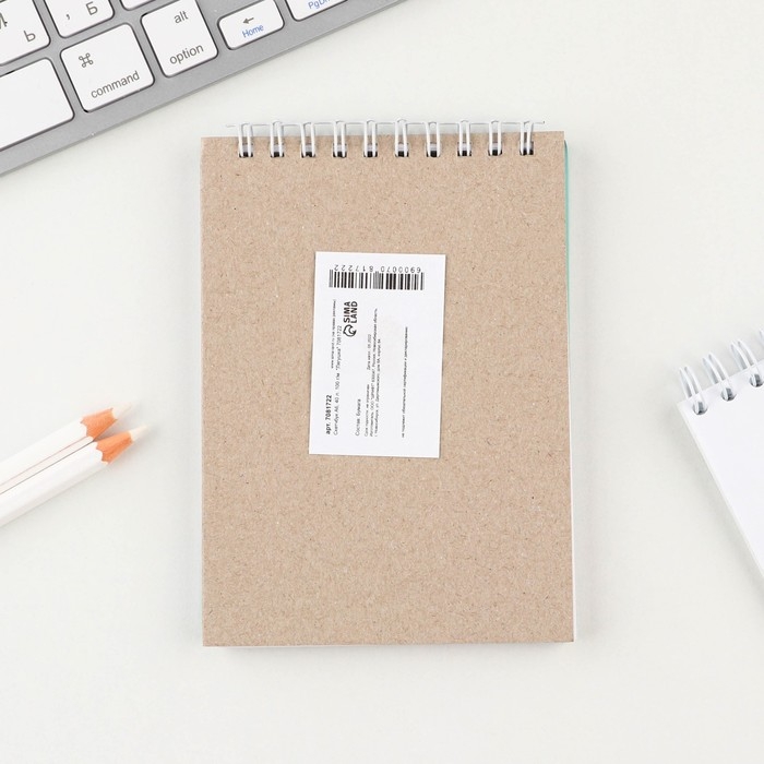 Скетчбук &laquo;Лягушка&raquo;, А6, 40 листов, 100 г/м