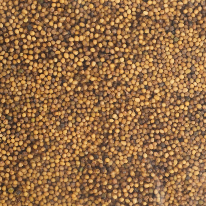 Семена Горчица, Мой Выбор, 3 кг