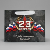 Пакет подарочный ламинированный вертикальный, упаковка, &laquo;23 февраля&raquo;, MS 23 х 18 х 10 см
