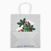 Пакет подарочный новогодний &laquo;Чудеса&raquo;, ёлка, белый крафт, 22 х 25 х 12 см , Новый год