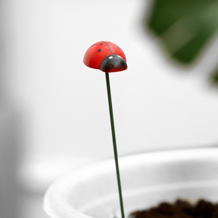 Штекер "Божья коровка Дарли" 2,5см, длина 25см, набор 10шт