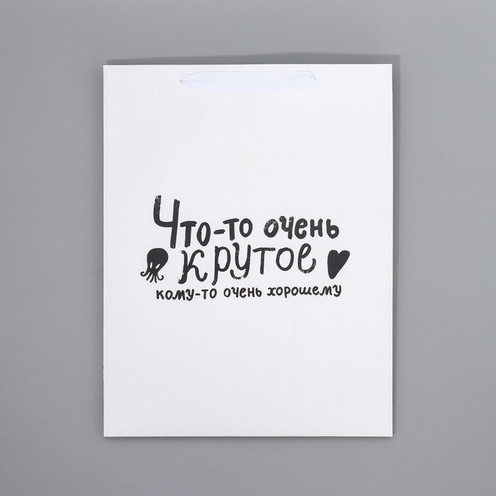 Пакет подарочный ламинированный двухсторонний, упаковка, &laquo;Что-то очень крутое&raquo;, L 40 х 31 х 11,5 см