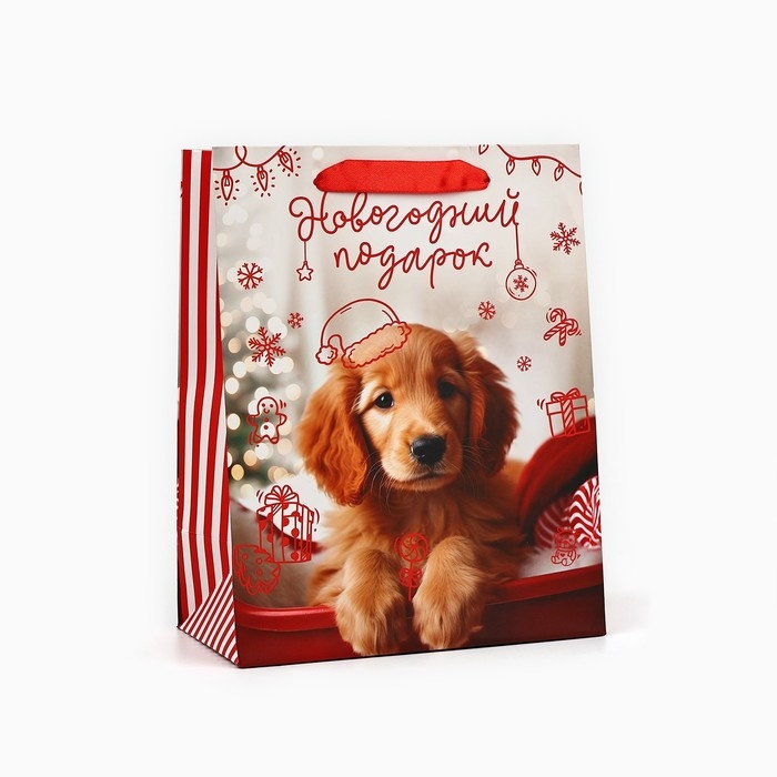 Пакет подарочный новогодний ламинированный &laquo;Новогодний подарок&raquo;, MS 18 х 23 х 10 см , Новый год