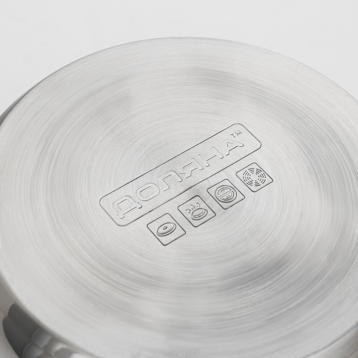 Кастрюля с крышкой из нержавеющей стали Доляна &laquo;Классика&raquo;, 3 л, d=20 см