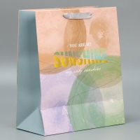 Пакет подарочный ламинированный, упаковка, &laquo;Солнце моё&raquo;, 25.4 х 30.5 х 12.7 см