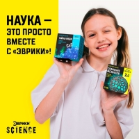 Набор для опытов &laquo;Сражение металлов&raquo;