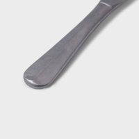 Нож столовый Hanna Kn&ouml;vell Rosen, 23.3 см, нержавеющая сталь, серебристый