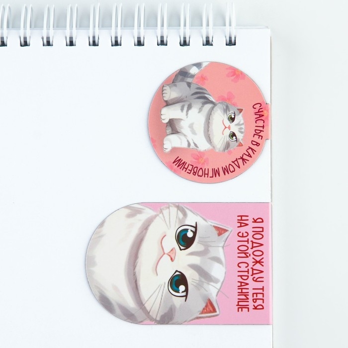 Магнитные закладки 2 шт &laquo;С 8 Марта&raquo;