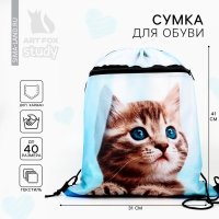 Мешок для обуви &laquo;Милый котик&raquo; 2 секции, 30&times;40 см