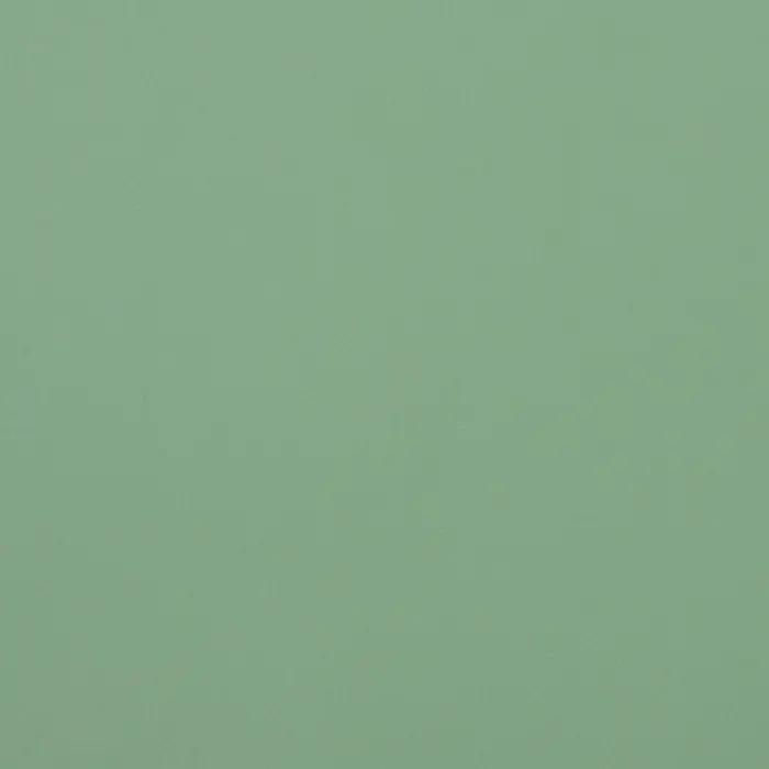 Пленка для цветов тонированная, матовая, светло - зелёная, 57&times;57 см &plusmn;5% см, 65 мкм