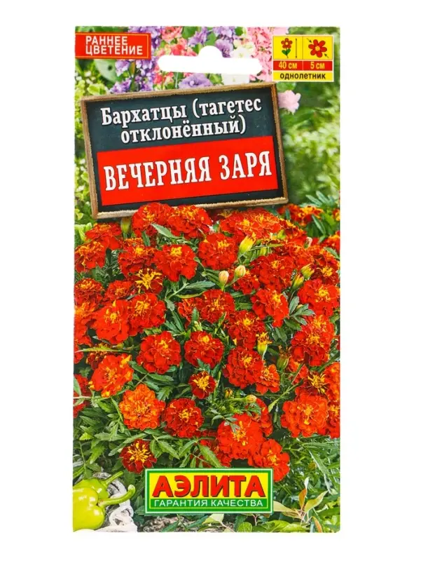 Семена цветов Бархатцы Вечерняя заря отклоненные , Ц/П,0,3 г