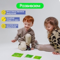 Нейропсихологическая игра &laquo;Где муха?&raquo;