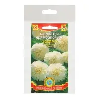 Семена Бархатцы низкорослые "Эскимо", набор 5 шт