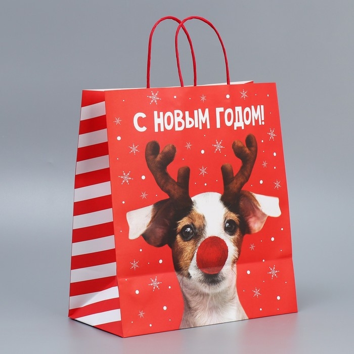 Пакет подарочный новогодний крафтовый &laquo;Олень ты&raquo;, 28 х 32 х 15 см
