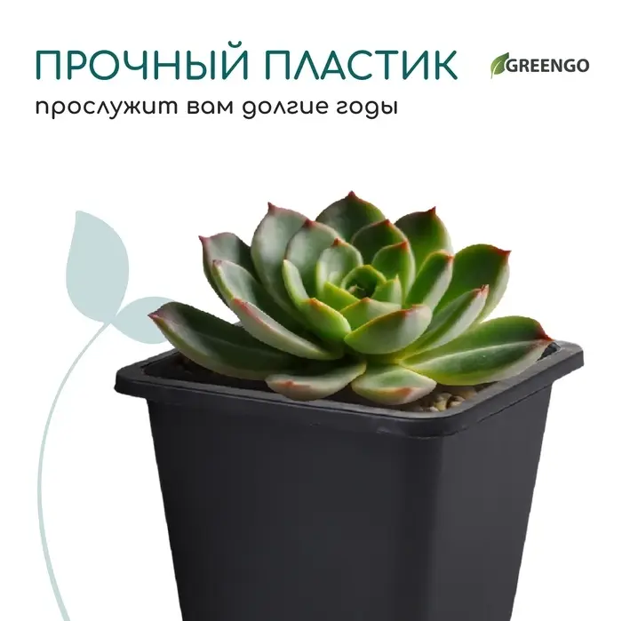 Горшок для рассады, 250 мл, d=9 см, h=8 см, пластик, чёрный, Greengo