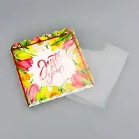 Коробка для печенья, &laquo;Тюльпаны&raquo;, 21&times;21&times;3 см