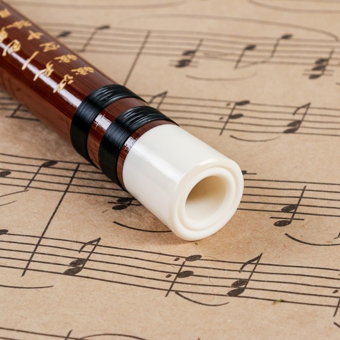 Флейта Music Life 56 см, тональность C