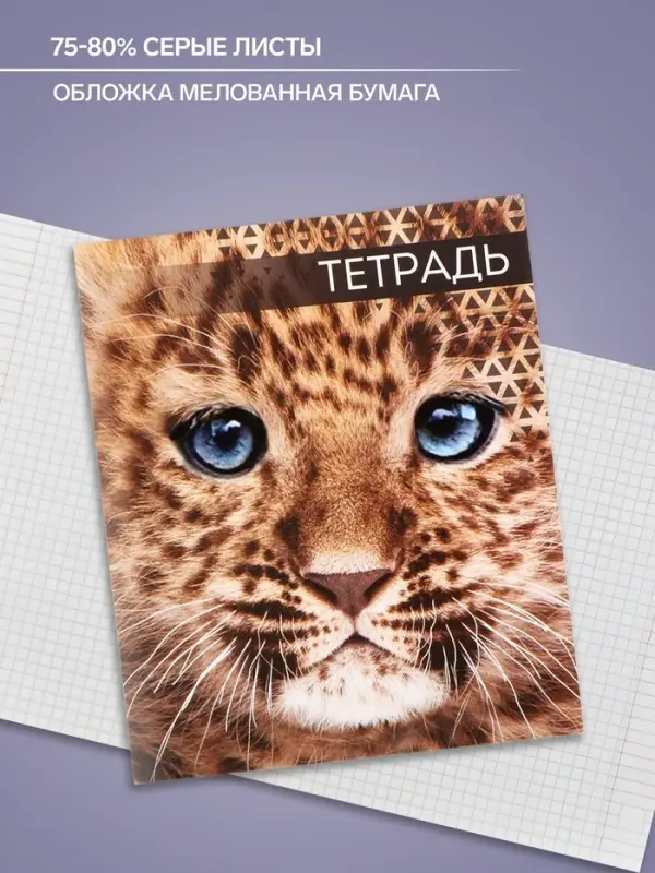 Тетрадь 48 листов в клетку, Calligrata &laquo;Дикие кошки&raquo;, обложка мелованная бумага, МИКС