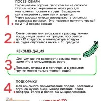 Семена Огурец "Бочковой", 0,2 г