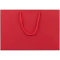 Пакет бумажный Ample Plus M, красный